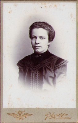 HST M93 Poză săsoaică CDV foto