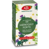 Hepatofit forte d80 30cps, Fares