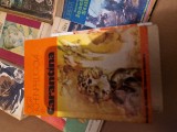 Carantina vintage