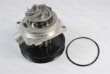 Pompa apa FIAT FIORINO Caroserie (146) (1988 - 2016) THERMOTEC D1F065TT