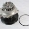 Pompa apa FIAT ALBEA (178) (1996 - 2009) THERMOTEC D1F065TT