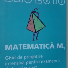 Bac 2013 Matematica M1. Ghid de pregatire intensiva pentru examenul de bacalaureat- Dan Ion