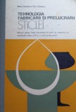 Tehnologia fabricarii si prelucrarii sticlei Elena Chiaburu, Ctin Chiaburu
