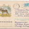 bnk ip URSS 1973 - fauna - circulat spre Romania
