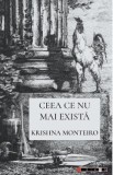 Ceea ce nu mai exista - Krishna Monteiro