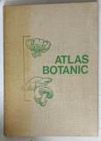 ATLAS BOTANIC de LUCIA POPOVICI , CONSTANTA MORUZI , ION TOMA , 1973 *MINIMA UZURA