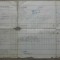 Declaratiune import pt marfuri destinate a fi supuse imediat drepturilor/ 1942