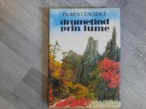 Drumetind prin lume de Florea Ceausescu