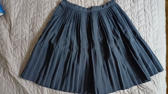 Fustă plisată de pionier