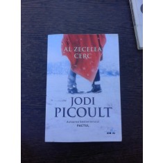 Al zecelea cerc - Jodi Picoult