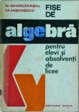 Cumpara ieftin N. Ghircoiasiu, N. Iasinschi - Fise de algebra pentru elevi si absolventi de