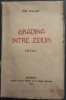 ION PILLAT - GRADINA INTRE ZIDURI (POEZII) [SOCEC / BUCURESTI, 1920]