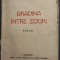 ION PILLAT - GRADINA INTRE ZIDURI (POEZII) [SOCEC / BUCURESTI, 1920]