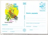 Bnk cp Expofil Luna Padurii `97- necirculata - marca fixa - 025/97