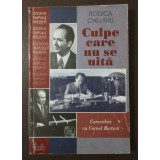 Rodica Chelaru - Culpe care nu se uită: convorbiri cu Cornel Burtică