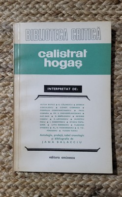 CALISTRAT HOGAS INTERPRETAT DE... foto