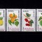 ✅RO 2002 / LP 1596 , &quot;Fructe&quot; , serie , MNH