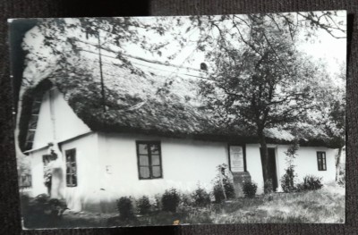 Carte postala, Casa Memoriala Ady Endre din Cauas Satu Mare, perioada interbelica foto