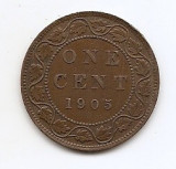 Canada 1 Cent 1905 - Edward VII, Bronz, 25.4 mm KM-8, America de Nord