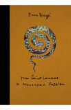 Yves Saint Laurent: A Moroccan Passion - Pierre Berge