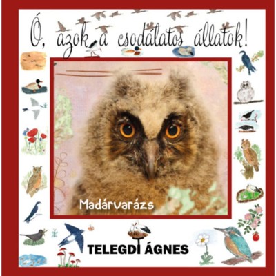 Mad&amp;aacute;rvar&amp;aacute;zs - Telegdi &amp;Aacute;gnes foto