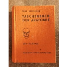Taschenbuch der anatomie vol 1 - Voss Herrlinger in limba germana