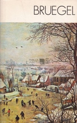 Michal Walicki - Bruegel foto