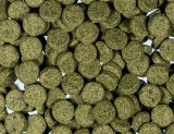Tablete Aderente cu Spirulină pentru Pești de Acvariu 265 grame