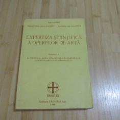 ION SANDU--EXPERTIZA STIINTIFICA A OPERELOR DE ARTA - VOL. I - 1998