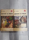 Brazda si palos vol.1 si 2 de Radu Theodoru