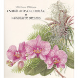 Csod&aacute;latos orchide&aacute;k - Wonderful Orchids - Varga Emma
