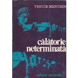 Calatorie neterminata - Yehudi Menuhin