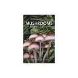 Mushrooms of British Columbia