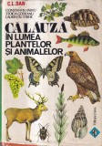 Constantin Parvu, Stoica Godeanu, Laurentiu Stroe - Calauza in lumea plantelor