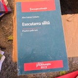 EXECUTAREA SILITA - ALINA GABRIELA TAMBULEA
