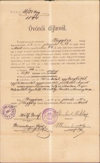 A819 Certificat de salarizare, 1894, educatoare grădiniță Tomnatic, județul Timiș