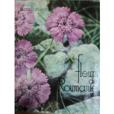 FLEURS DE ROUMANIE- MIRCEA BUCCHICEANU SI RODICA RARAU BICHICEANU