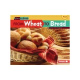 From Wheat to Bread