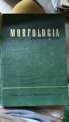 Morfologia plantelor - Ciobanu I foto