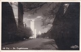 Cluj. Str. Cogalniceanu (circulata 1939)