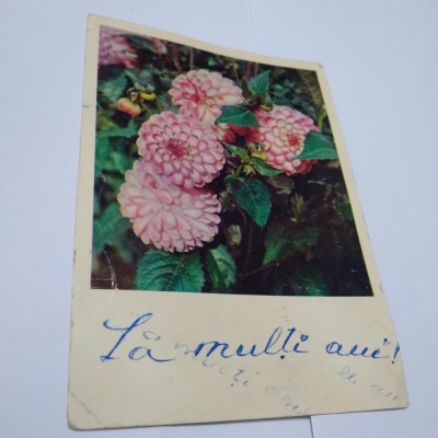 CARTE POSTALA RUSEASCA FELICITARE CIRCULATA foto