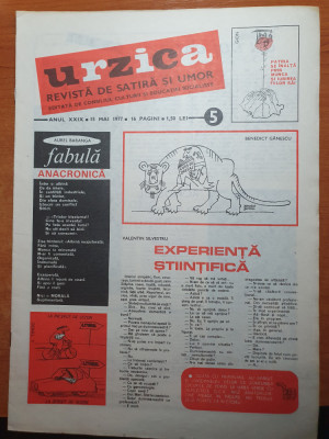 revista urzica 15 mai 1977 - revista de satira si umor foto