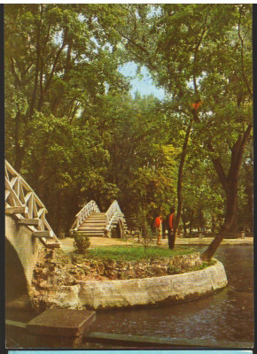 CPI B13075 CARTE POSTALA - BOTOSANI. VEDERE DIN PARCUL MIHAI EMINESCU foto