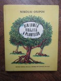 Din Lumea Vrajita a Plantelor - Nikolai Osipov, Victor Kirillov, 1988, Povestiri, Ilustratii, Coperta Cartonata