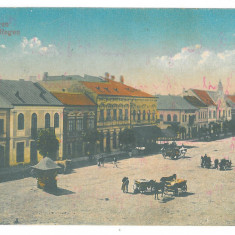 703 - REGHIN, Mures, Market, Romania - old postcard - used - 1918