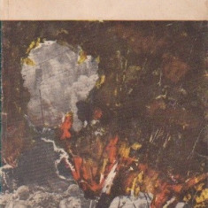 Ernest Hemingway - Adio, arme (editie 1969)