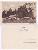 Casa Regala-Stana Regala -Sinaia, Bucegi