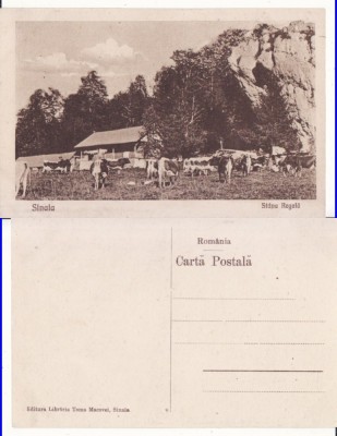Casa Regala-Stana Regala -Sinaia, Bucegi foto