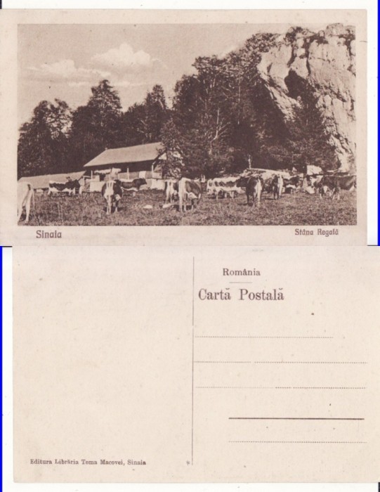Casa Regala-Stana Regala -Sinaia, Bucegi