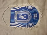 Fanion universitatea craiova